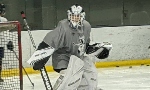 樋口真由美の画像